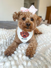 Personalized Pet Bandanas